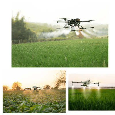 Pesticide Registration in India