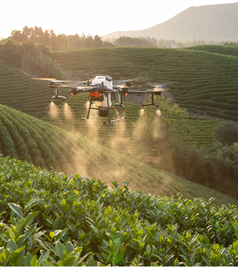 Untitled (800 x 900 px) (3)