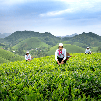 pesticide registration in India