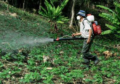 Best Pesticide Registration