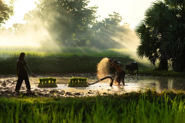 Toxicological Data Generation Services | GLP-Compliant Safety Studies for Agrochemicals & Pharmaceuticals