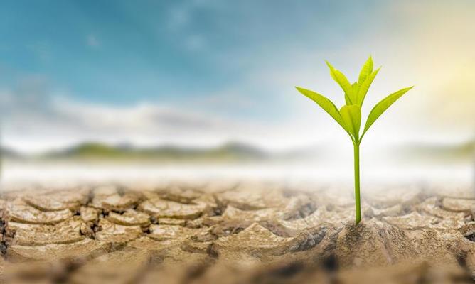 ICAR Approval Mandatory